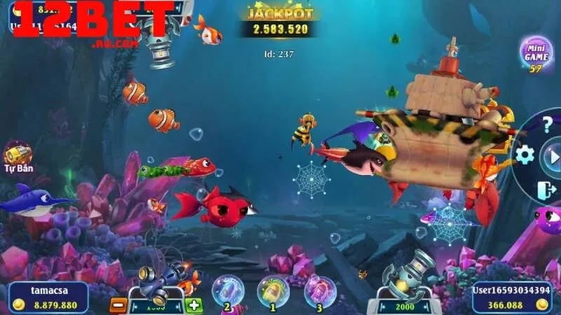 săn cá hải tặc